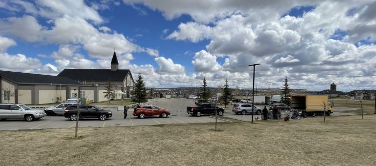 Community Cleanup 2  768x340