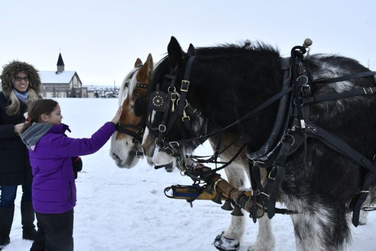 318823824 5973679142665406 398097329912779194 n 1024x683 1 768x512